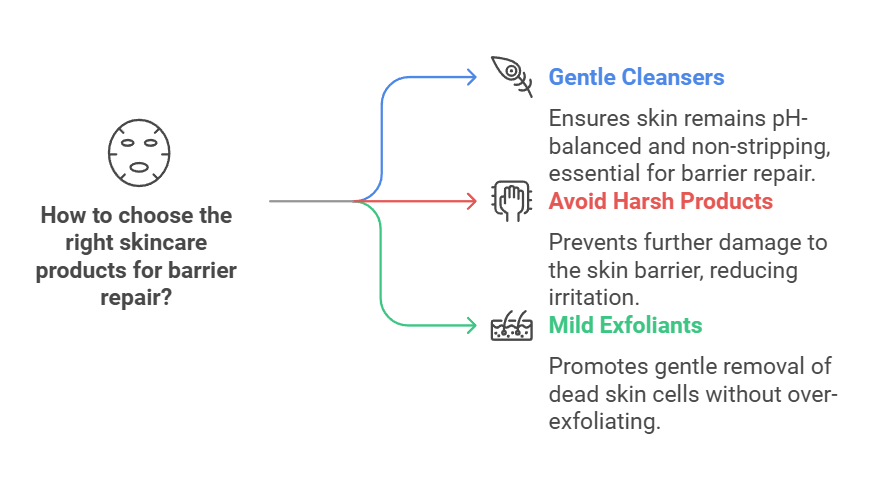 How to choose the right skincare products for barrier repair?