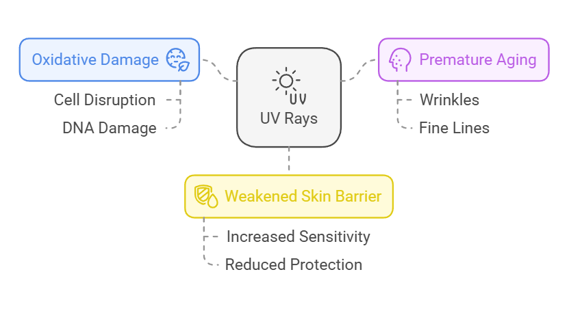 The Sun's Sneaky Attack: UV Rays