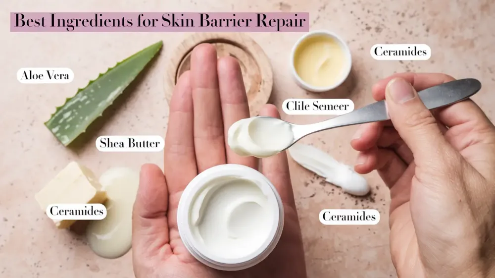 Ceramides: The Foundation of a Healthy Barrier