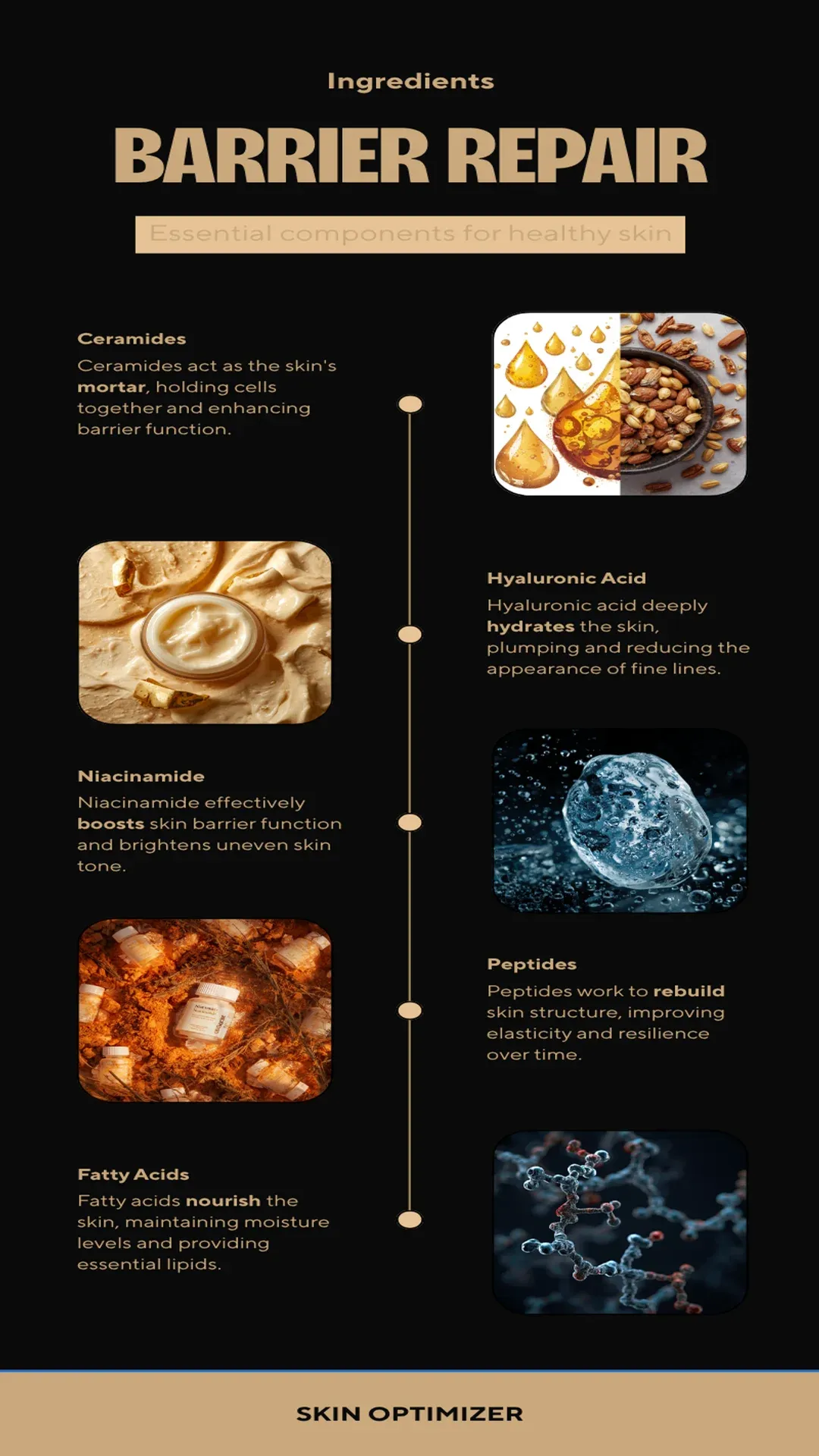 Skin Barrier Infographic