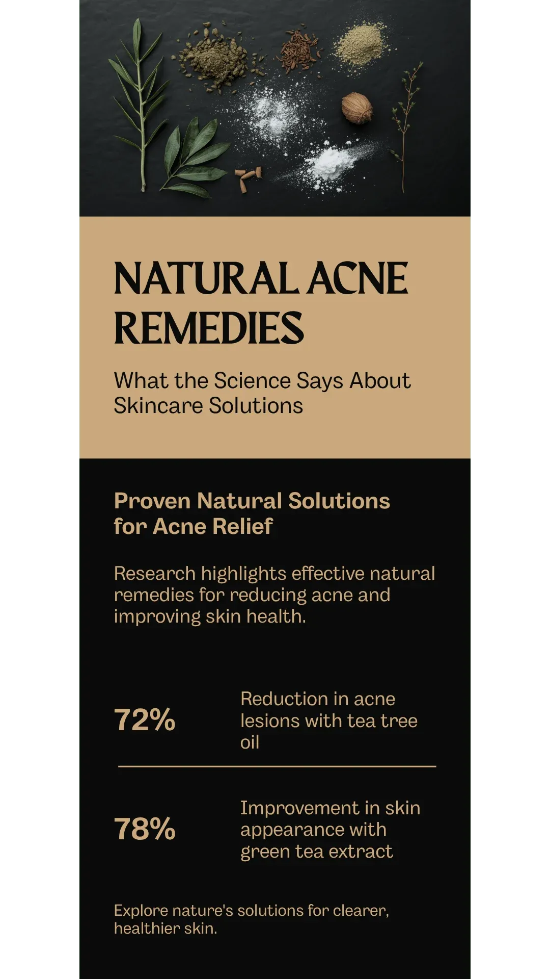 Natural Acne Remedies Infographic — Evidence-based guide showing tea tree oil, green tea, zinc, and niacinamide with clinical evidence levels
