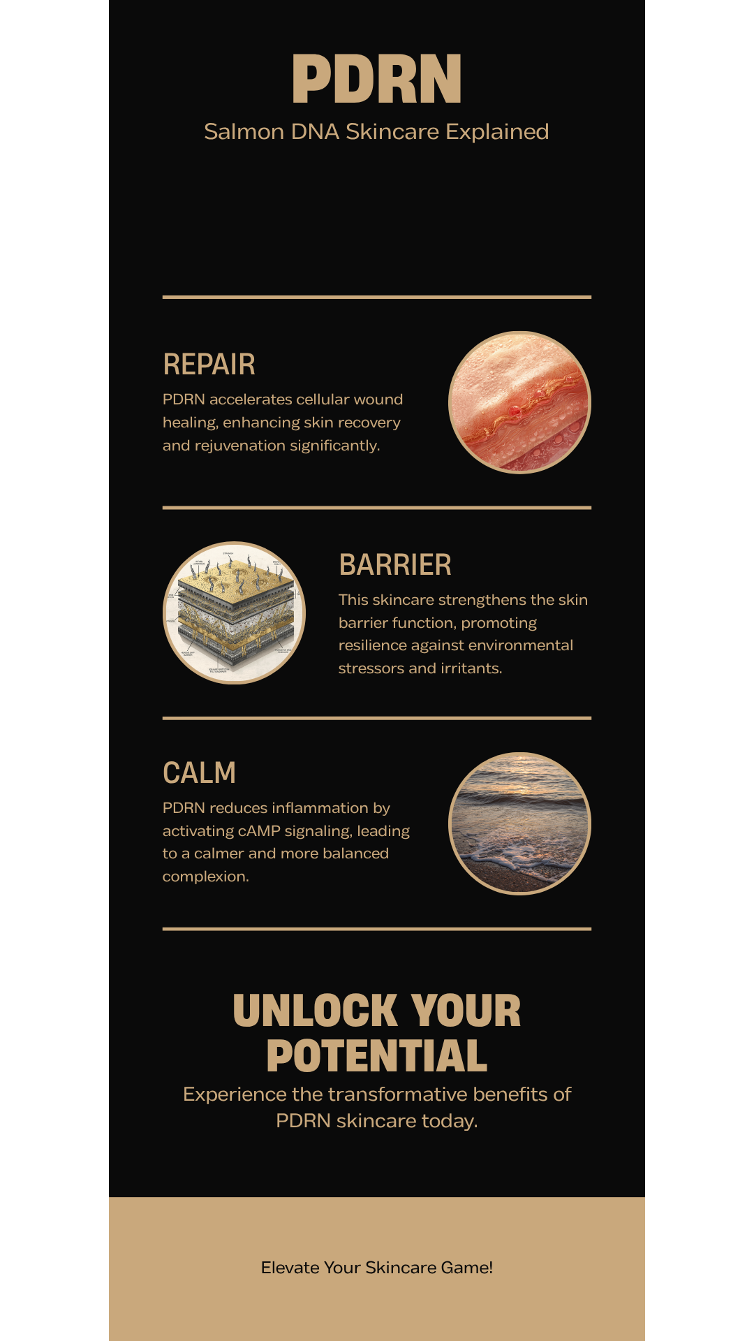 PDRN Skincare Guide - Infographic